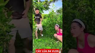 Ui cha xấu hổ quá music song friends automobile shortvideo love [upl. by Connie]