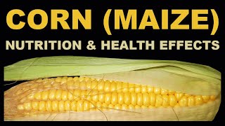 Corn Maize Nutrition and Health Benefits and Issues [upl. by Cirek]