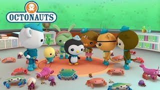 Octonauts Octopod Invasion [upl. by Anada]