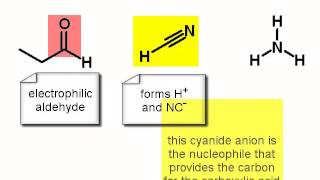 Chemistry Vignettes Strecker amino acid synthesis [upl. by Nylinej]