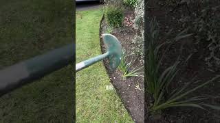 Satisfying Gardening Work🌳 gardening satisfying cleaning grass lawn viral fyp trending 117 [upl. by Aidahs80]