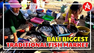 BIGGEST TRADITIONAL FISH MARKET IN BALI [upl. by Ketchan302]