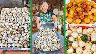 Cook 200 Quail Eggs with braise pork and quail eggs tamarind sauce and eat  Cooking with sros [upl. by Ylurt23]