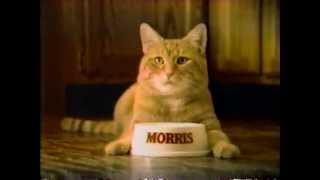 1984 9 Lives Cat Food Presents Morris Commercial [upl. by Ednalrym]