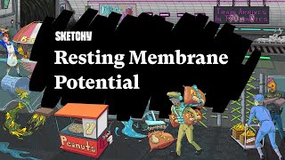 Resting Membrane Potentials A Study Guide Part 1  Sketchy Medical  USMLE Step 1 [upl. by Itsirc]