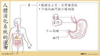 108選生三 22 消化系統1 人體消化系統一 [upl. by Ydnir]