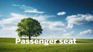 Passenger seat lyrics [upl. by Allicerp]