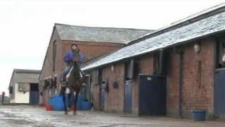 Grand National Donald McCain Stable Tour [upl. by Hiamerej82]