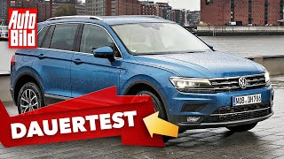 VW Tiguan 2020 Dauertest  SUV  Ratgeber  Info [upl. by Sabir369]