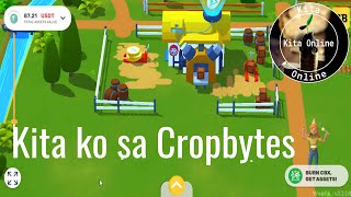 Kita ko Online sa Larong Cropbytes [upl. by Chicoine292]