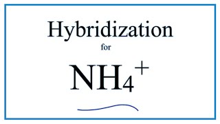 Hybridization for NH4 description of hybrid orbitals for Nitrogen [upl. by Abihsat123]