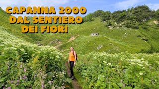 Rifugio Capanna 2000 dal Sentiero dei Fiori [upl. by Helbonnah]