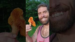 no matter how goodlooking dont eat this mushroom 🎃🤮 westvirginia 💙💛 foraging 🍄 [upl. by Aremus896]