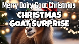 Merry Dairy Goat Christmas [upl. by Nibroc]