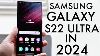 Samsung Galaxy S22 Ultra In 2024 Still Worth Buying Review [upl. by Andras]