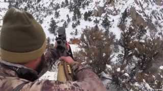 Hunting Nevada Mountain Lion at Close Range [upl. by Ivor746]