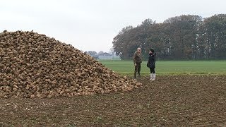 stadtpanorama TV Zuckerrübenernte am Niederrhein [upl. by Ahusoj]