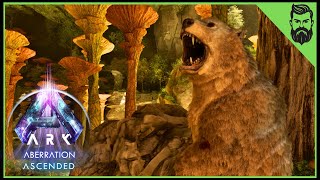 Taming Is Easier With Friends  Ark Aberration Ascended  Ep 5 [upl. by Artema]