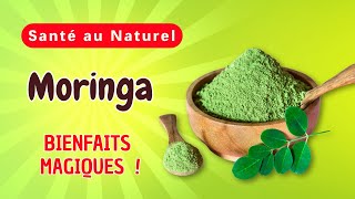 En quoi la moringa estelle une alliée Cruciale pour une santé optimale et un bienêtre renforcé [upl. by Yud652]