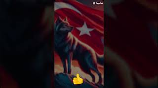 Türkiye Edit ve Azerbaycan Edit 🇹🇷🇦🇿 edit music song voiceeffects [upl. by Llehcear]