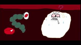 The Bacteria Brothers  White Blood Cells Amoeba Sisters Parody [upl. by Gannie]