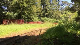 Redwood Valley Railway 7 Up the Detour [upl. by Yllrebmik]