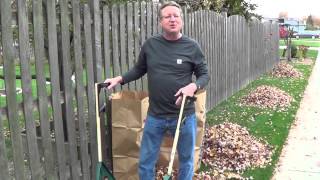 Fastest Way to Pick Up Leaves [upl. by Steven]