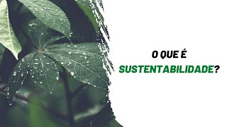 O QUE é SUSTENTABILIDADE [upl. by Asile790]