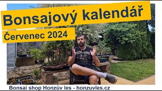 Bonsajový kalendář  červenec 2024 [upl. by Semadar]