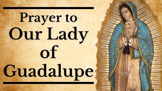 Prayer to Our Lady of Guadalupe  For a Special Request [upl. by Anrapa297]