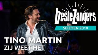 Tino Martin  Zij weet het  Beste Zangers 2018 [upl. by Nihs]