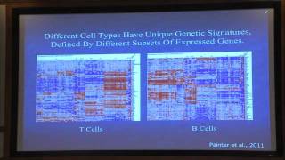 Systems Hylomorphism A PostGenomic Theory of Nature [upl. by Emilia]