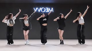 MEOVV  MEOW Dance Practice MIRRORED [upl. by Platus]