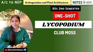 Characteristics Morphology Anatomy and Reproduction of LYCOPODIUM  Full life cycle  OneShot [upl. by Ayinat]