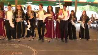 ArabAmerican Teens Dance to Ahla Lebnaniyeh [upl. by Lleznol]