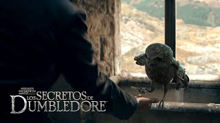 Deleted Scene Hogwarts Owlery  Fantastic Beasts The Secrets of Dumbledore [upl. by Gayelord671]