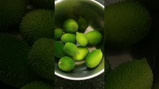 Kakoda Recipe 😋🔥।ytshorts monsoonkitchenhacksv kakodaspinygourd kakorakantola [upl. by Vezza]