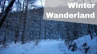 4 Tage Winter Wanderung im Harz  Wandertour 2 [upl. by Junina]