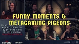 Critical Role C2 E12 Funny Moments and Metagaming Pigeons [upl. by Tatum]