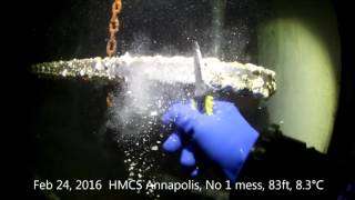 HMCS Annapolis Feb 24 2016 Life and Electrolysis study [upl. by Alwyn]