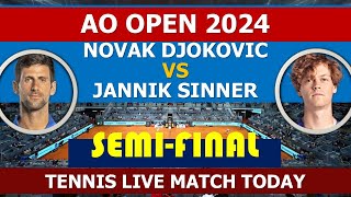 Novak Djokovic v Jannik Sinner  Australian open 2024 [upl. by Wakeen]