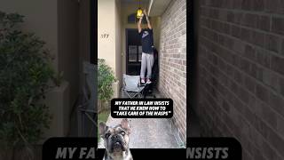 ⚠️When Stunads and wasps 🐝collide 🤣😱😳 reaction viral dogs funny [upl. by Ssecnirp]