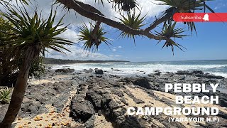 PEBBLY BEACH CAMPGROUND  Yuraygir National Park NSW [upl. by Ddej]