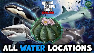 GTA Online  All Under Water Peyote Plant Locations [upl. by Valery]