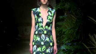 Spring Summer 2015 Show  ERDEM [upl. by Dloreg]