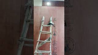 VIOG Visit to Raj Nagar extension PVC interior designing work youtubeshorts trendingreelsvideo vl [upl. by Nesmat]