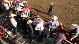 When Bulls Owned The Day At Clovis Rodeo [upl. by Perzan]