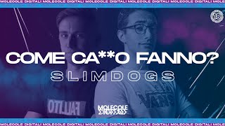 Slim Dogs Come cao fanno  Molecole Digitali Ep 18 [upl. by Amelita]