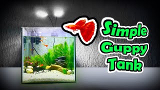 SIMPLE GUPPY FISH TANK setup  Simple DIY for AFR Albino Full Red Guppy Tank Aquarium Setup [upl. by Aiza]