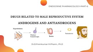 Androgens and Antiandrogens Reproductive hormonesEndoPart6 [upl. by Shaver]